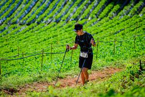 BIB: 1156
                            <button type="button" onclick="openModal(19163392)" class="btn btn-primary btn-sm float-right btn-popup" data-toggle="modal" data-target=".modal-high-quality">
                        <i class="fas fa-shopping-cart"></i> Add to Cart
                    </button>
                                            <button type="button" onclick="isThisMe(19163392, true)" class="btn btn-success btn-sm float-right btn-popup btn-isme hidden" data-toggle="tooltip" data-placement="bottom" title="นี่คือรูปของคุณใช่ไหม คลิกที่นี่เพื่อเอาเข้าอัลบั้ม">
                        <i class="fas fa-plus"></i> Add to album
                    </button>
                    <button type="button" onclick="isThisMe(19163392, false)" class="btn btn-warning btn-sm float-right btn-popup btn-isnotme hidden">
                        <i class="fas fa-ban"></i> Remove from album
                    </button>